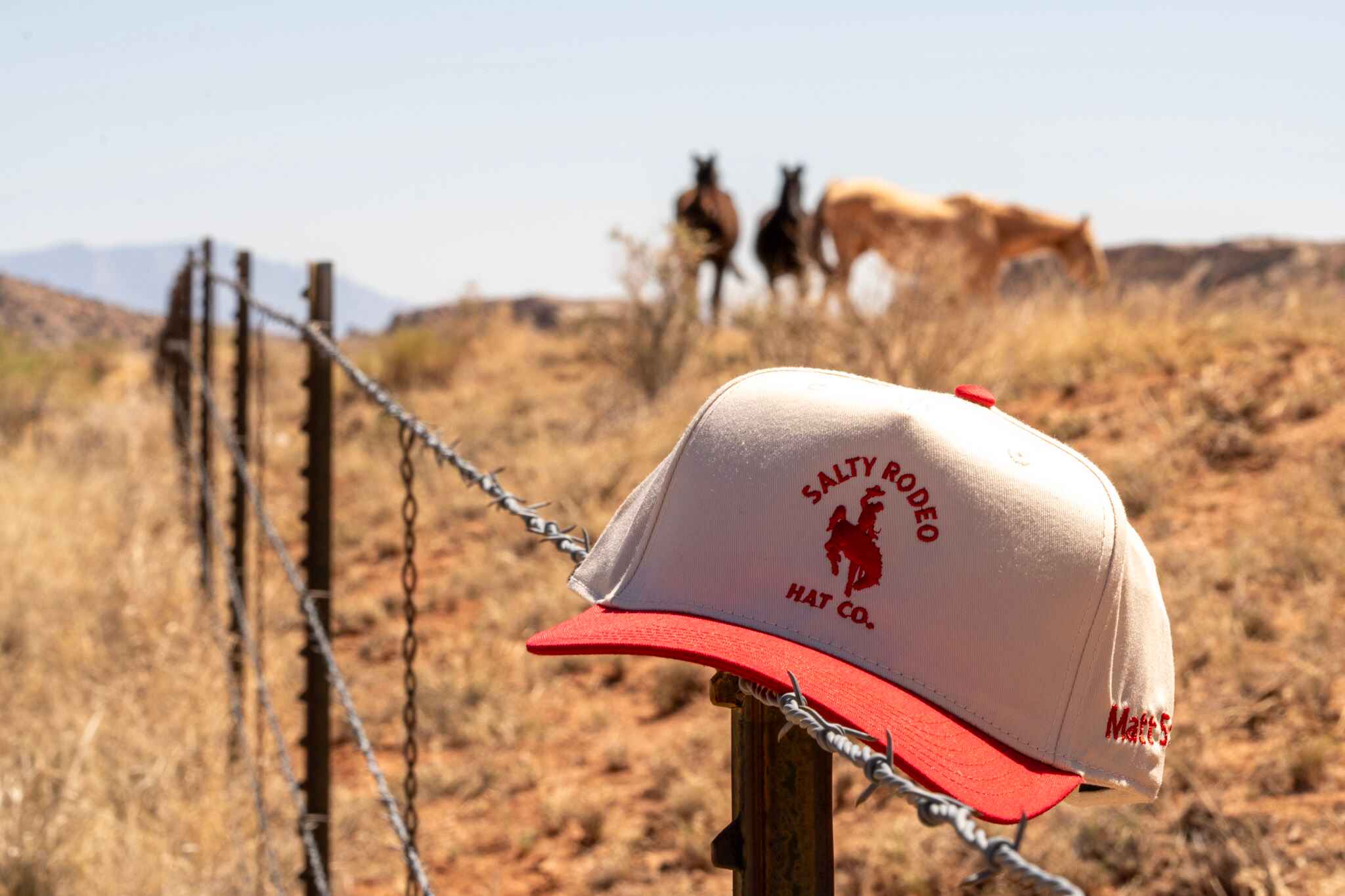 Documentary frame from a Creative Flow Studio production day on a working cattle operation in southwest Colorado.