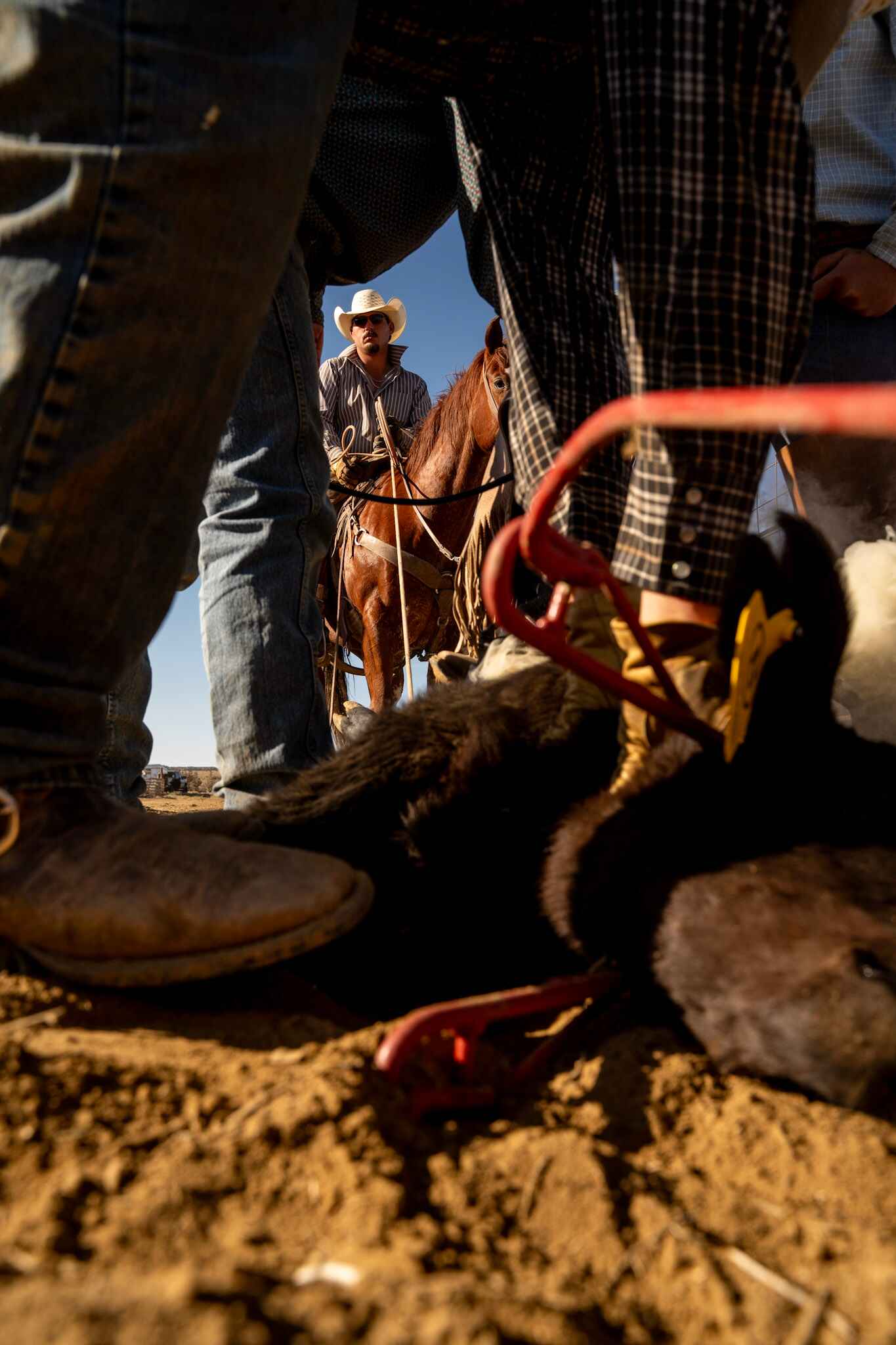 Working cattle ranch — original editorial photography by Creative Flow Studio