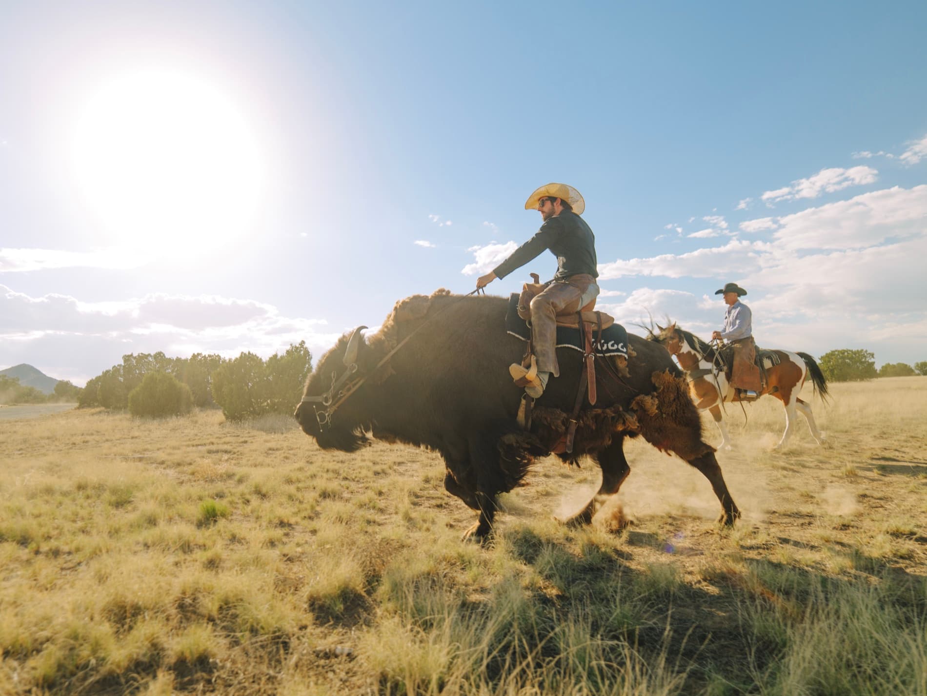 Wyatt Mortenson riding Clyde the buffalo at a run across an open field
