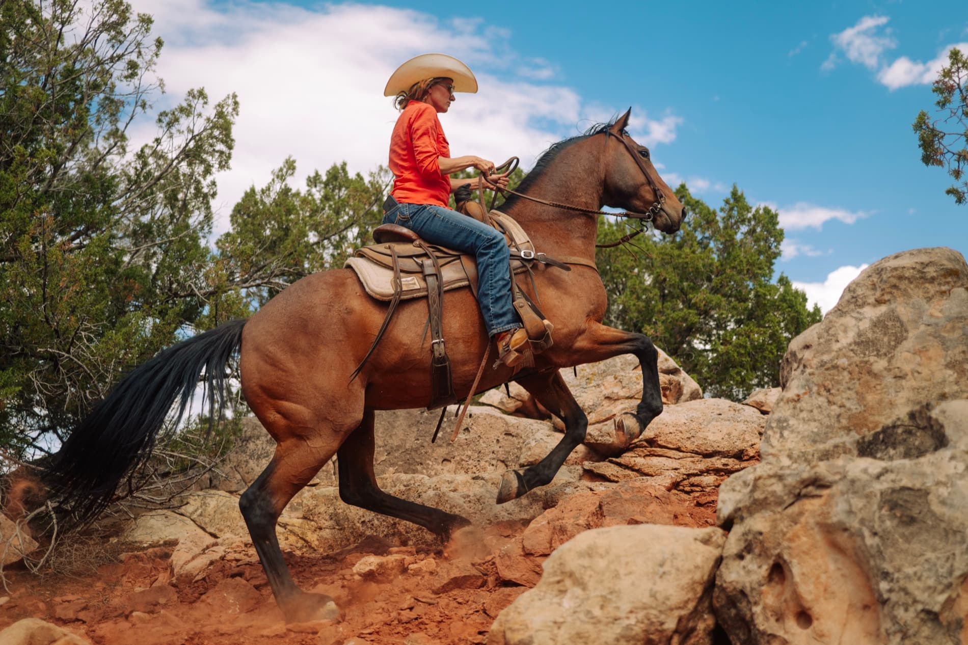 A rider powering a bay horse up a red-rock trail at the 6666 Ranch