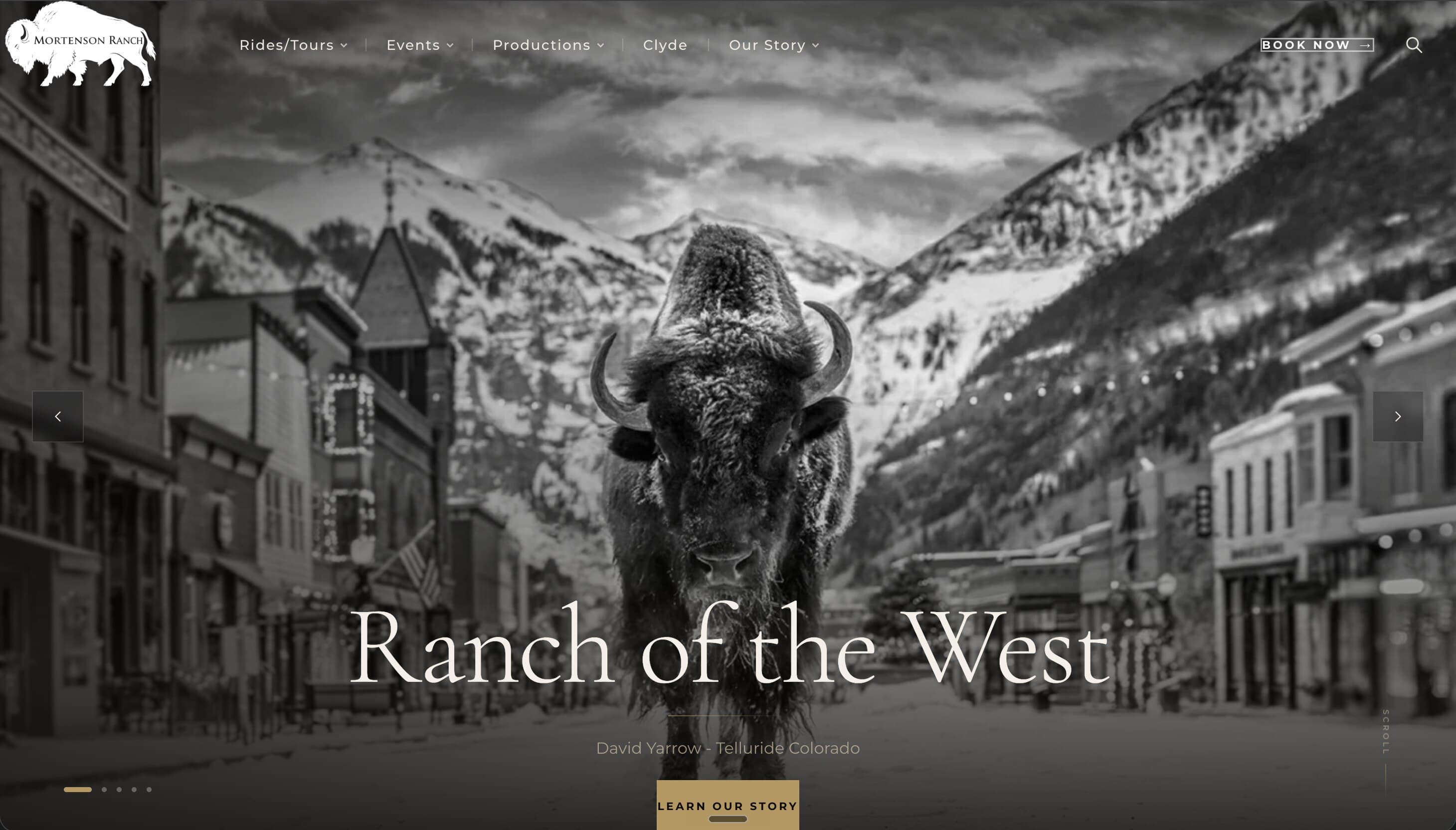 The new Mortenson Ranch homepage before launch: a black-and-white photo of Clyde the buffalo on the western set under the headline Ranch of the West