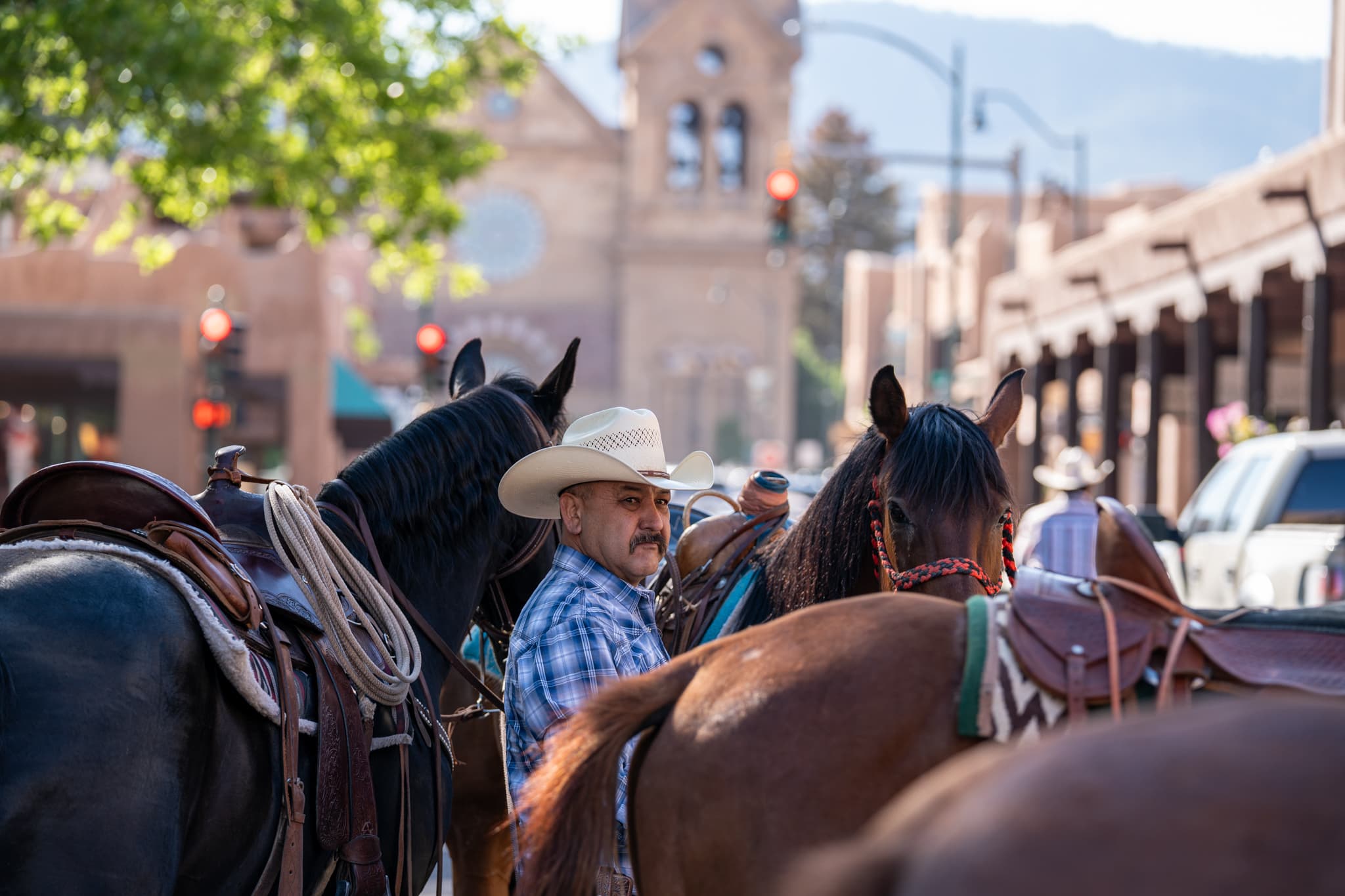 A cowboy in a white hat standing between saddled horses on the Santa Fe Plaza